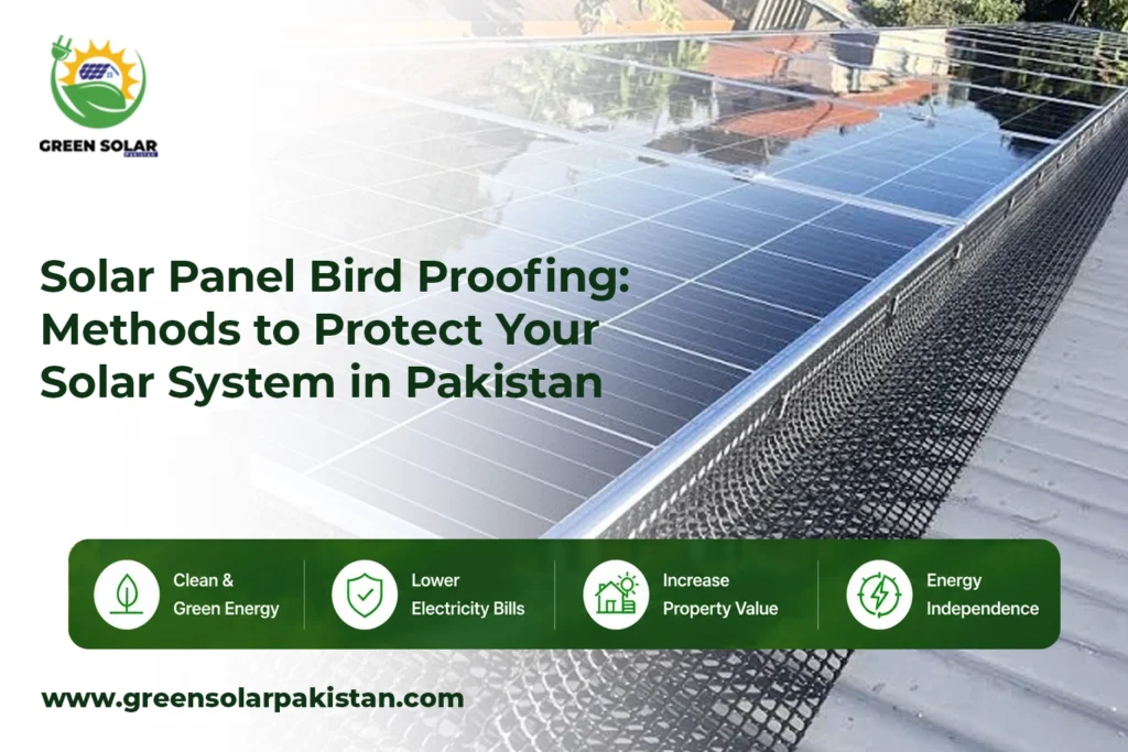 Solar Panel Bird Proofing: Methods to Protect Your Solar System in Pakistan